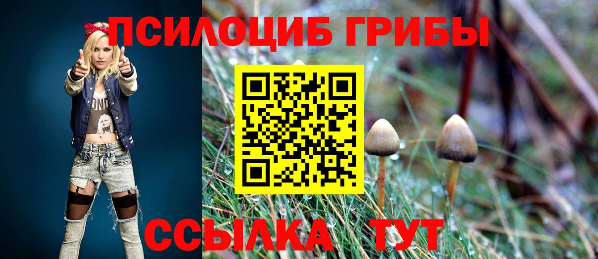 Галлюциногенные грибы Psilocybe  Вход с VPN  сколько стоит  Тавда 